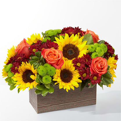 Happy Harvest Garden –  Joyce Florist Of Dallas Inc, Dallas TX