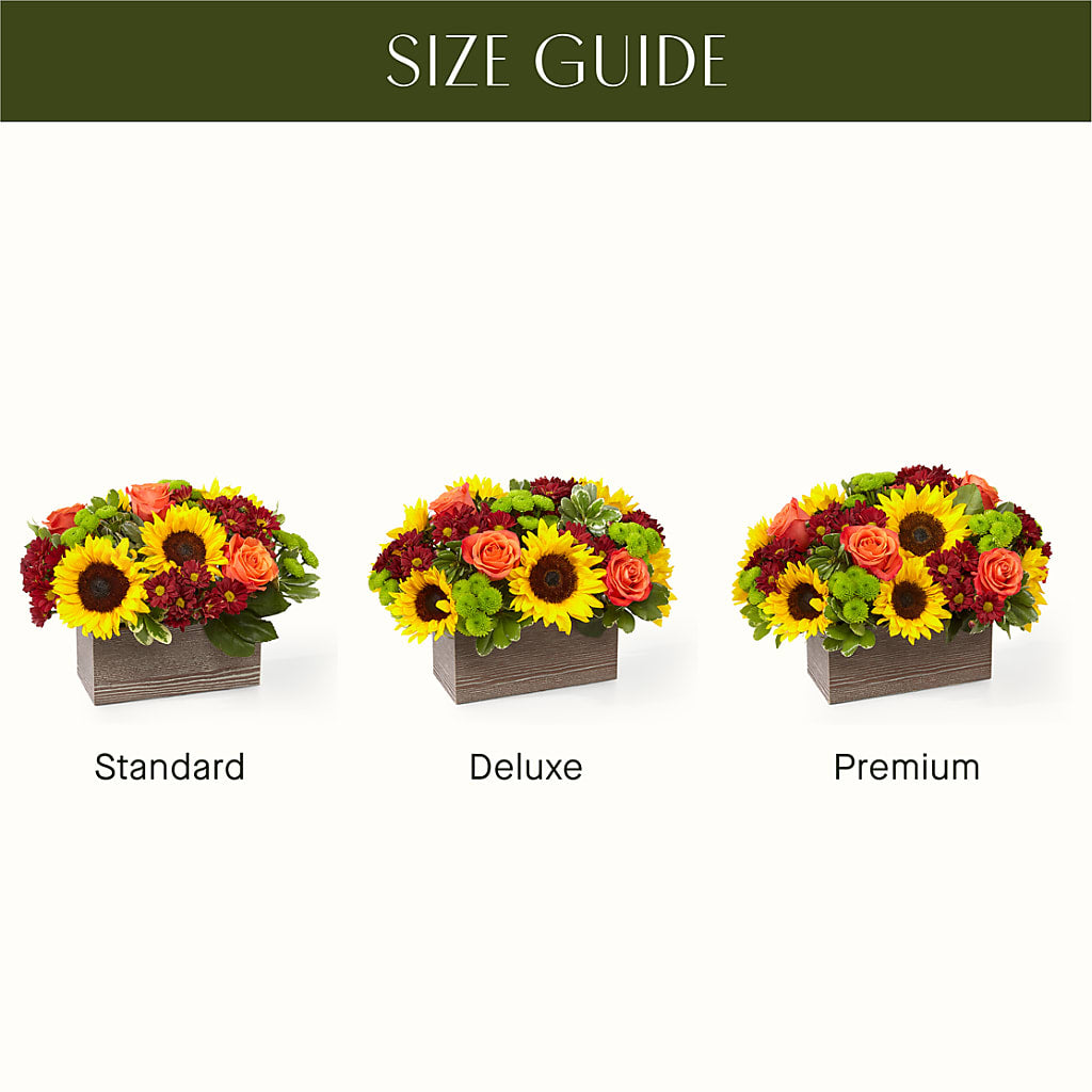Happy Harvest Garden –  Joyce Florist Of Dallas Inc, Dallas TX