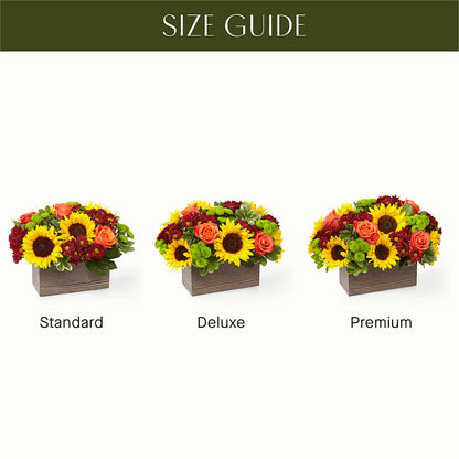 Happy Harvest Garden –  Joyce Florist Of Dallas Inc, Dallas TX