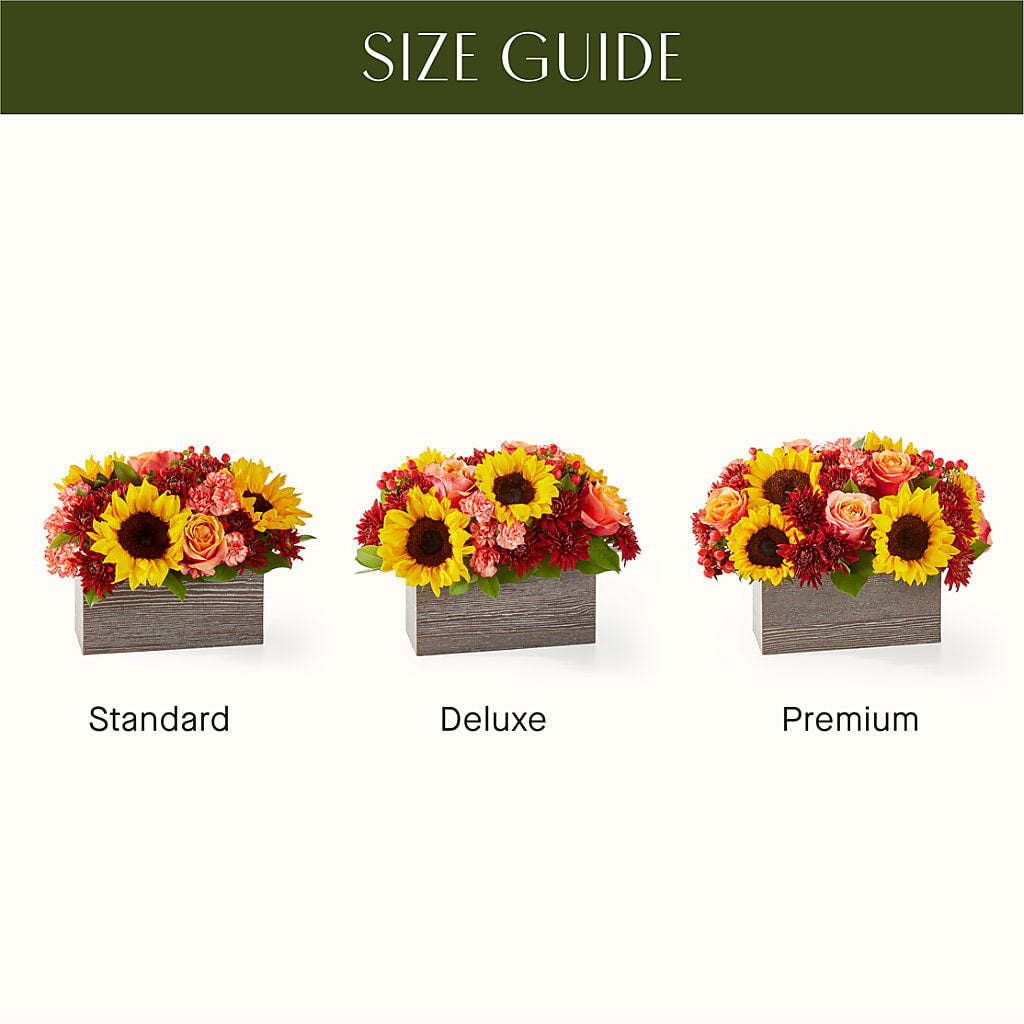 Fresh Cider Bouquet –  Joyce Florist Of Dallas Inc, Dallas TX