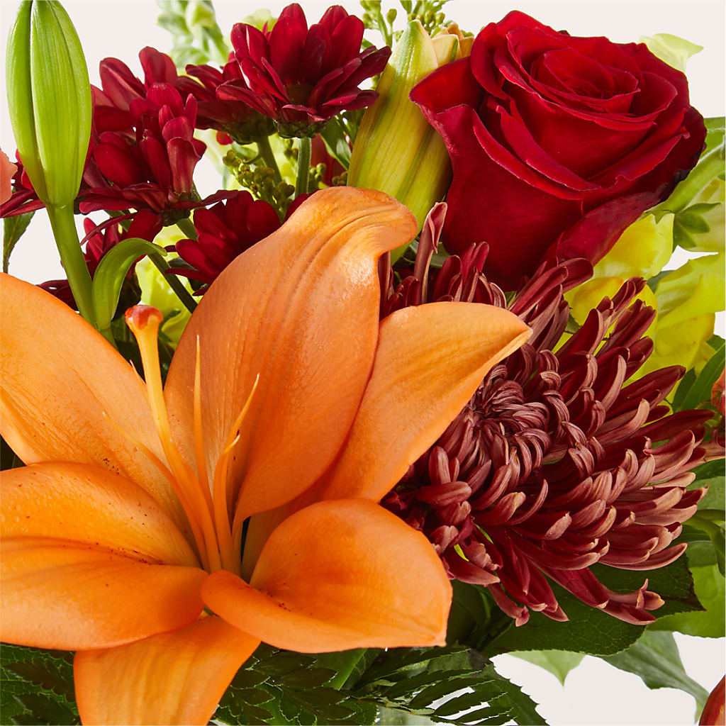 Sweater Season - A Florist Original –  Joyce Florist Of Dallas Inc, Dallas TX