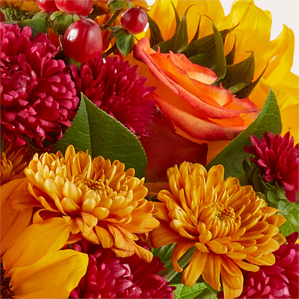 Sweater Season - A Florist Original –  Joyce Florist Of Dallas Inc, Dallas TX