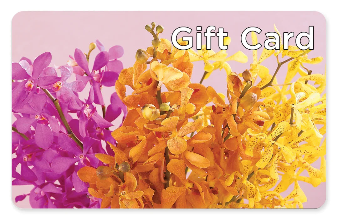 Gift Card –  Joyce Florist Of Dallas Inc, Dallas TX