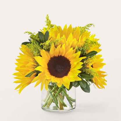 Beaming Sunflower Bouquet –  Joyce Florist Of Dallas Inc, Dallas TX