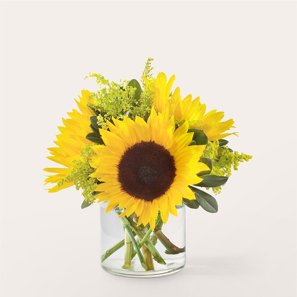 Beaming Sunflower Bouquet –  Joyce Florist Of Dallas Inc, Dallas TX