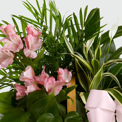 Living Spirit Dishgarden –  Joyce Florist Of Dallas Inc, Dallas TX