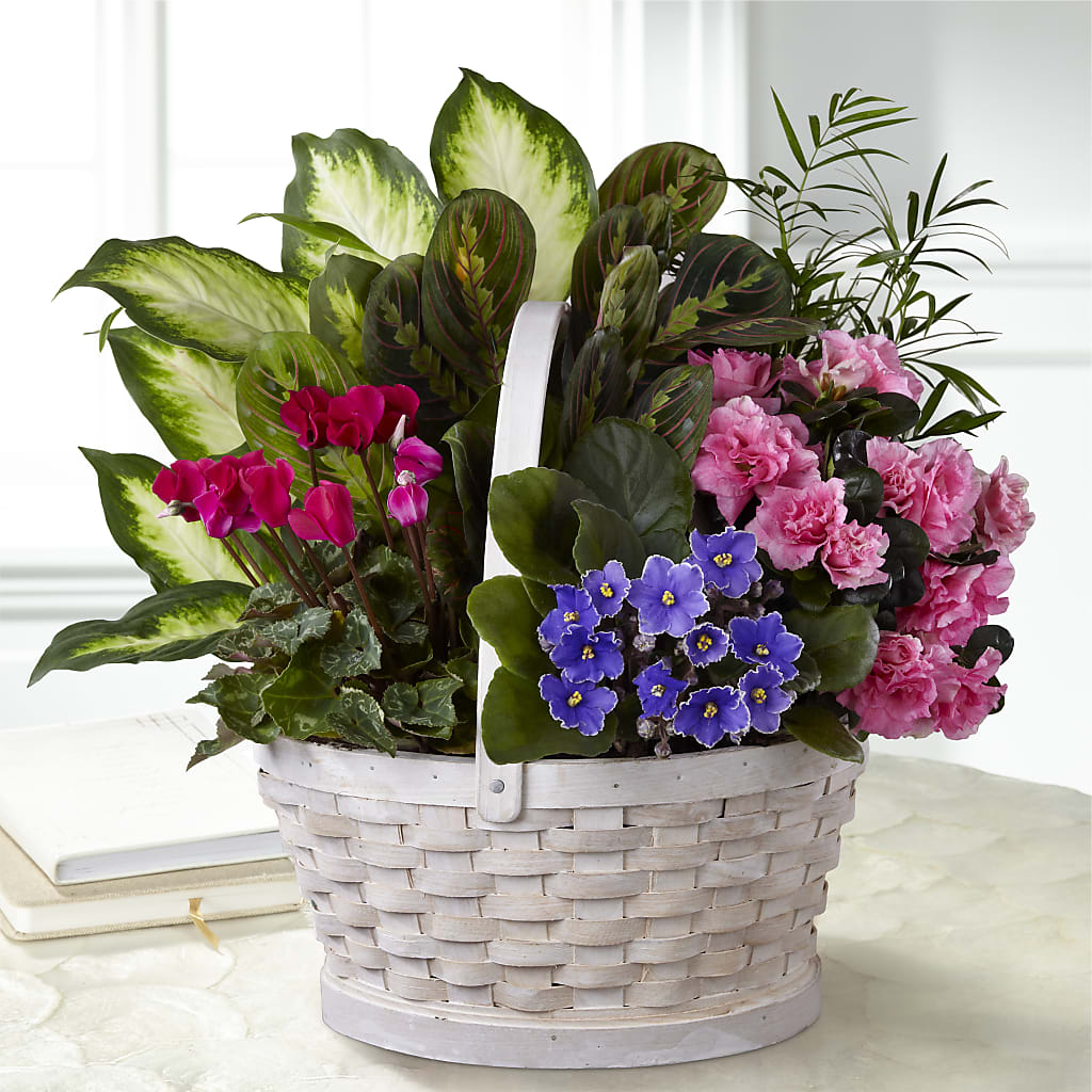 Peaceful Garden Planter –  Joyce Florist Of Dallas Inc, Dallas TX