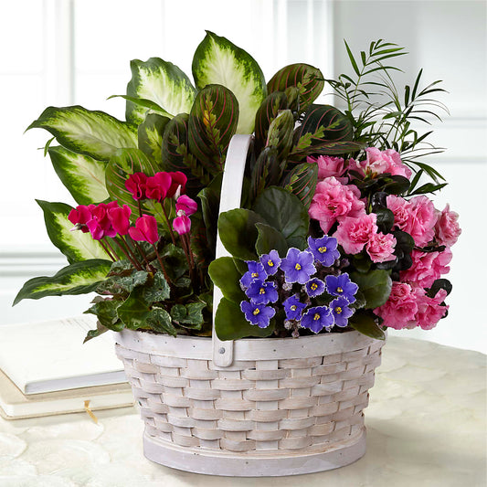 Peaceful Garden Planter –  Joyce Florist Of Dallas Inc, Dallas TX