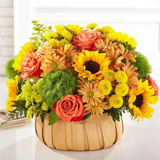 Harvest Sunflower Basket –  Joyce Florist Of Dallas Inc, Dallas TX