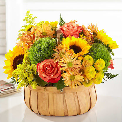 Harvest Sunflower Basket –  Joyce Florist Of Dallas Inc, Dallas TX