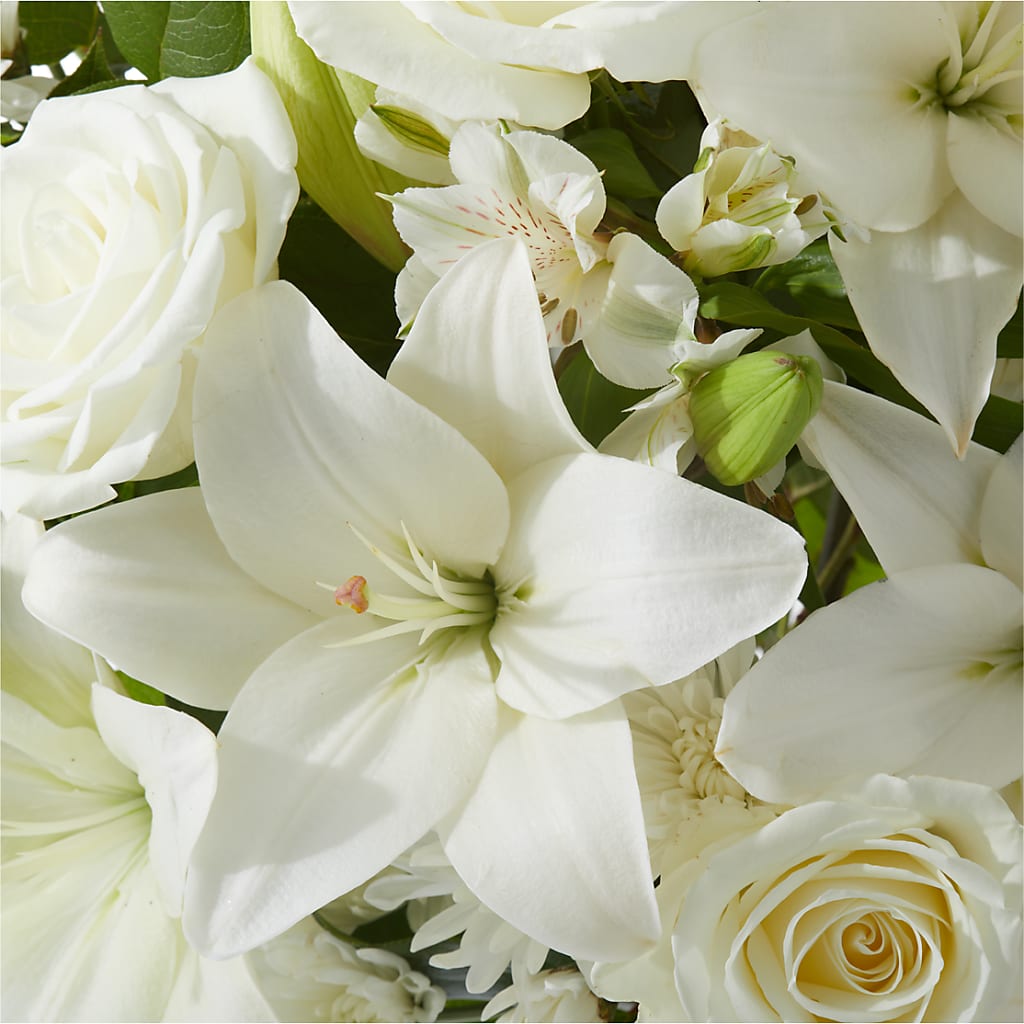 Peaceful Reflections Arrangement –  Joyce Florist Of Dallas Inc, Dallas TX
