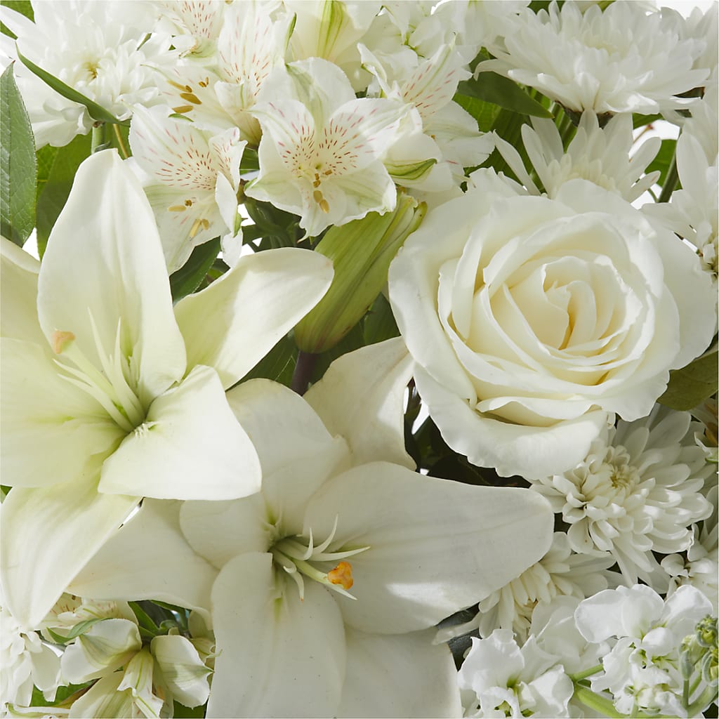 Peaceful Reflections Arrangement –  Joyce Florist Of Dallas Inc, Dallas TX