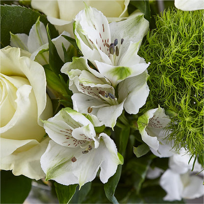 Classic Ivory – A Florist Original –  Joyce Florist Of Dallas Inc, Dallas TX