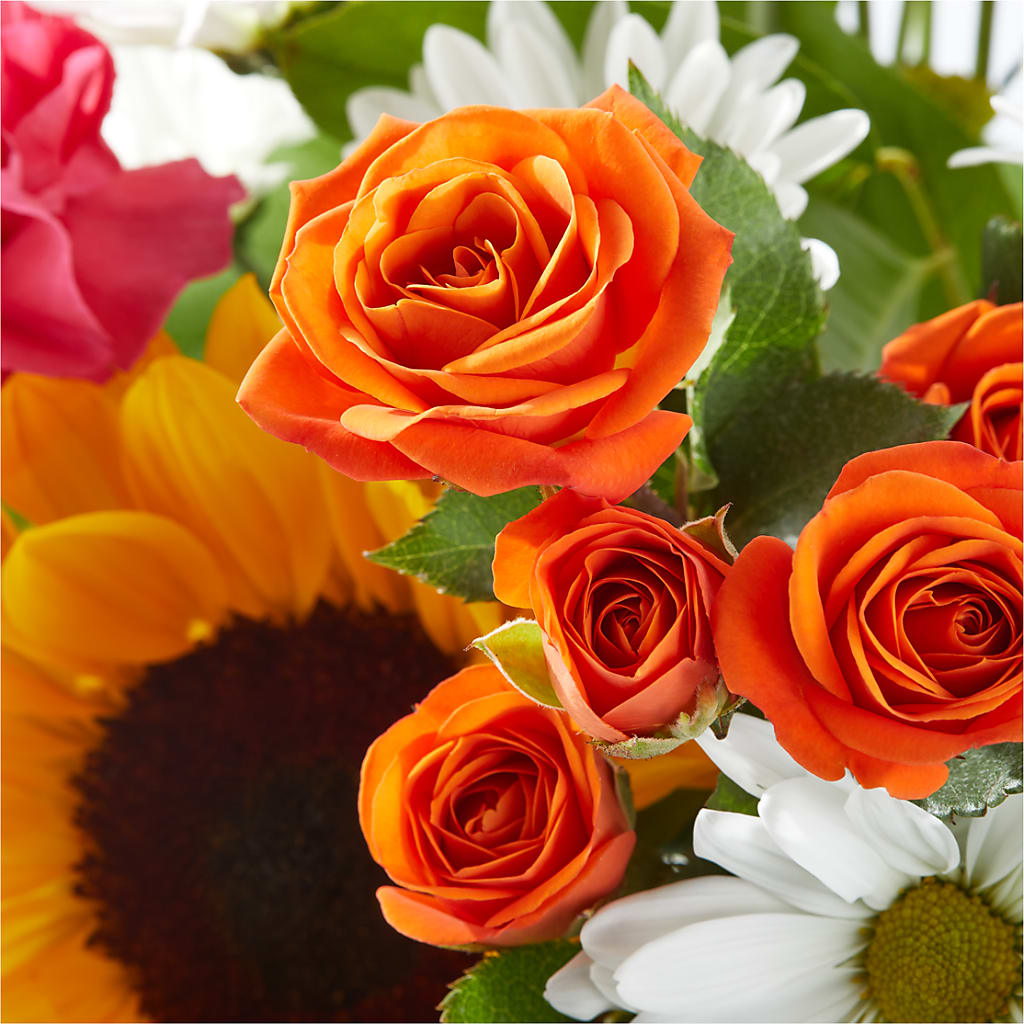 Sun-drenched Blooms Bouquet –  Joyce Florist Of Dallas Inc, Dallas TX