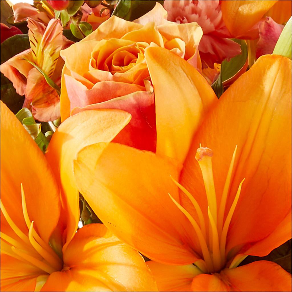 Afternoon Light Bouquet –  Joyce Florist Of Dallas Inc, Dallas TX