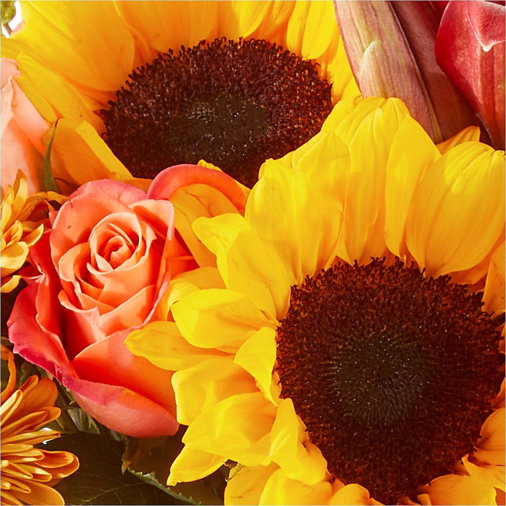 Acorn Lane Bouquet –  Joyce Florist Of Dallas Inc, Dallas TX