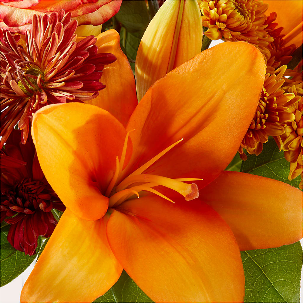 Autumnal Aroma Bouquet –  Joyce Florist Of Dallas Inc, Dallas TX