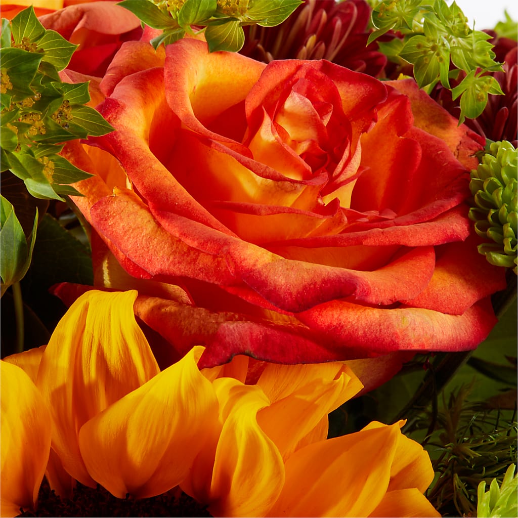 Harvest Festival Bouquet –  Joyce Florist Of Dallas Inc, Dallas TX