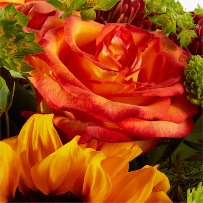 Harvest Festival Bouquet –  Joyce Florist Of Dallas Inc, Dallas TX