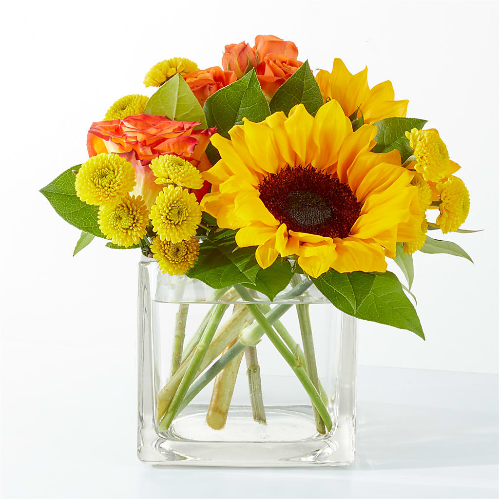 Picnic in the Park Bouquet –  Joyce Florist Of Dallas Inc, Dallas TX