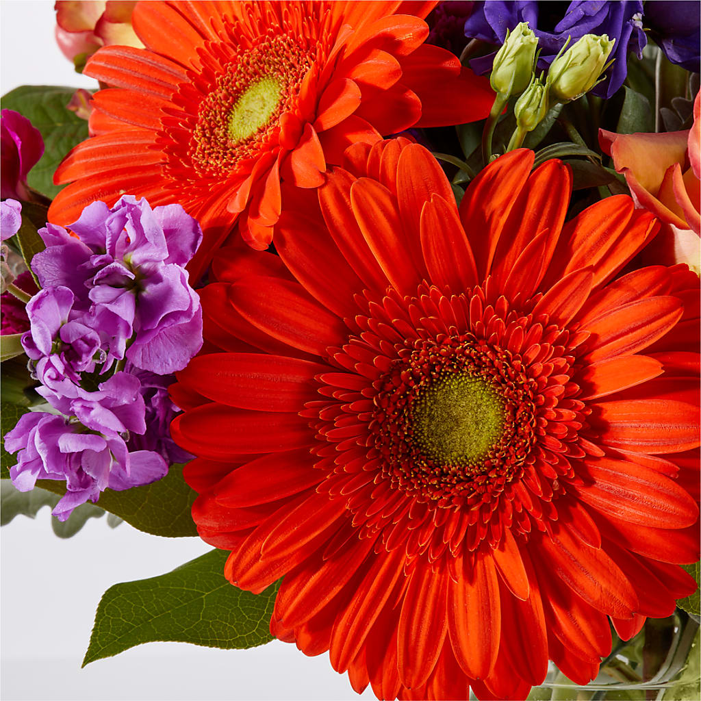 Sangria Bouquet –  Joyce Florist Of Dallas Inc, Dallas TX