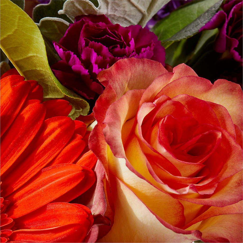 Sangria Bouquet –  Joyce Florist Of Dallas Inc, Dallas TX