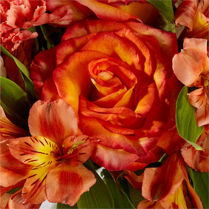 Apricot Glow Bouquet –  Joyce Florist Of Dallas Inc, Dallas TX