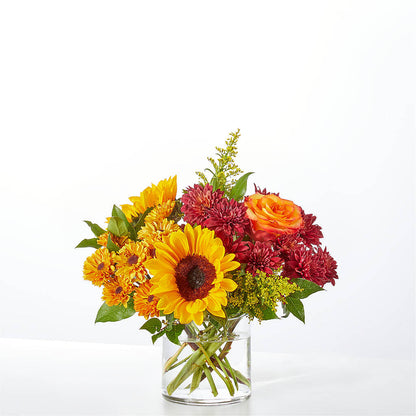 Flannel Scarf Bouquet –  Joyce Florist Of Dallas Inc, Dallas TX
