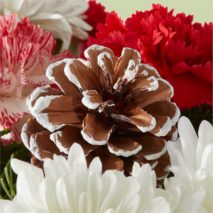 Candy Cane Lane Bouquet –  Joyce Florist Of Dallas Inc, Dallas TX