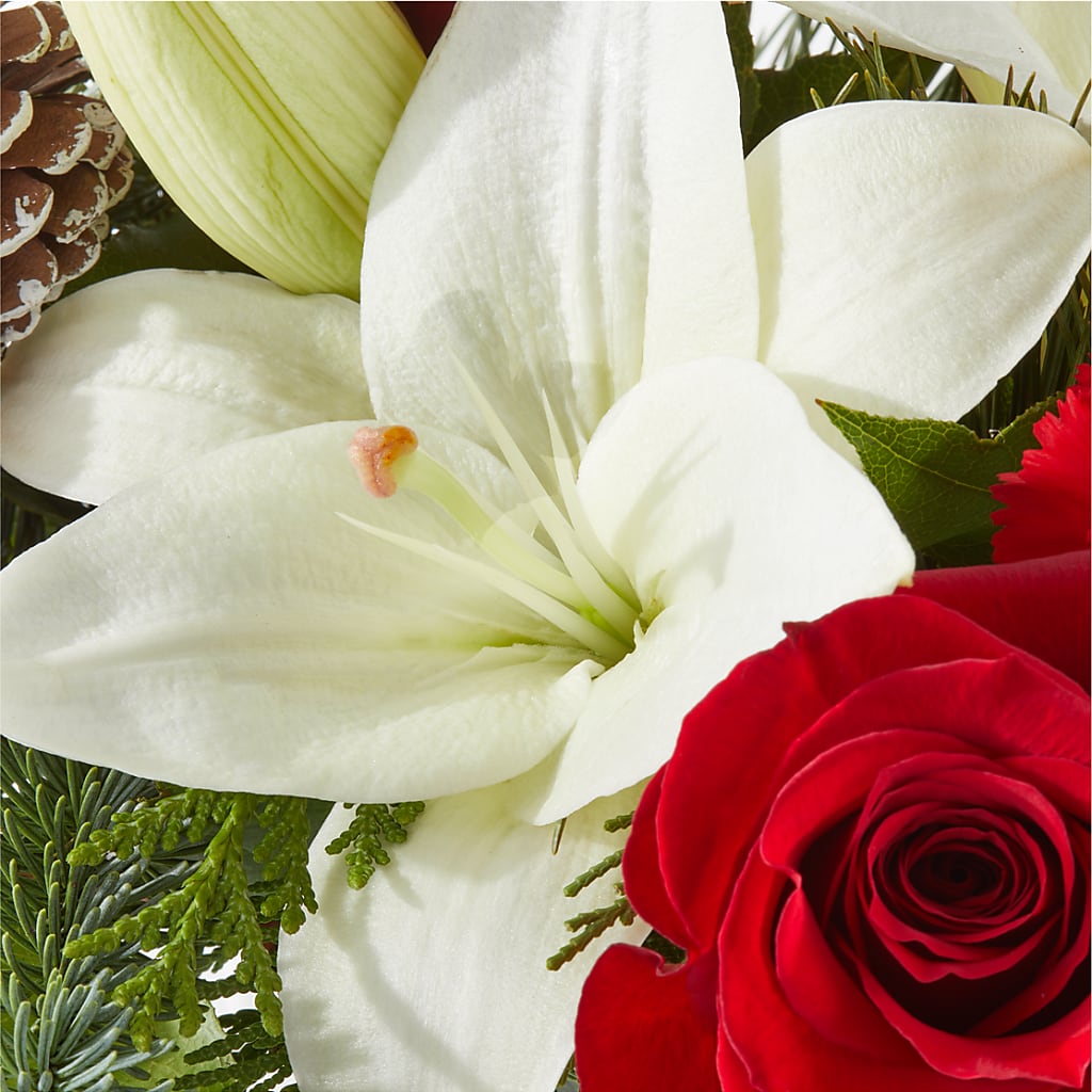 Oh So Jolly Bouquet –  Joyce Florist Of Dallas Inc, Dallas TX