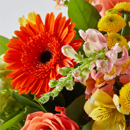 Autumn Sunshine Bouquet –  Joyce Florist Of Dallas Inc, Dallas TX