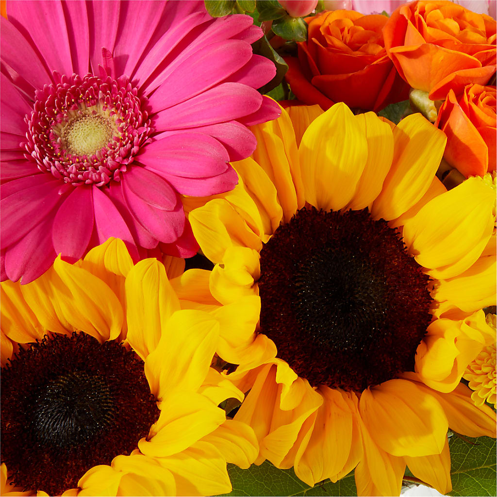 Beach Day Bouquet –  Joyce Florist Of Dallas Inc, Dallas TX