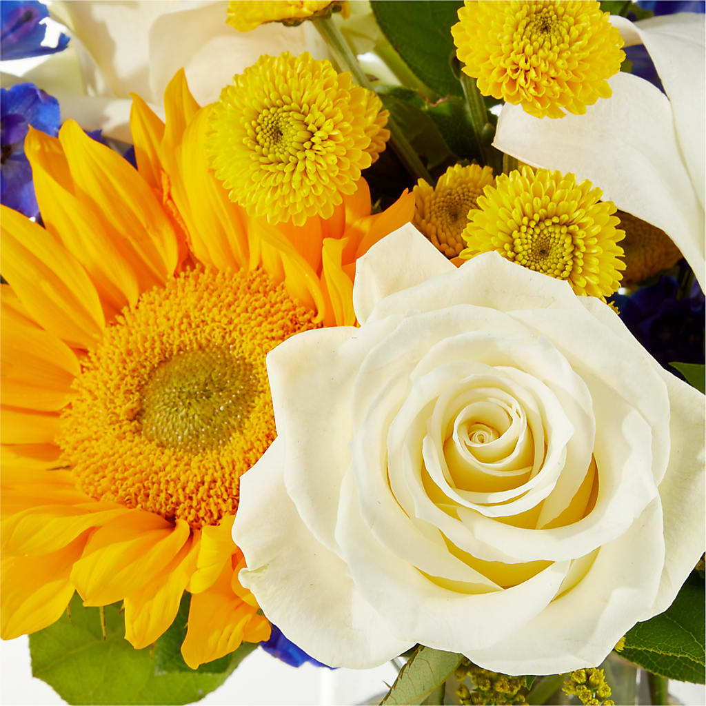 Stargazing Bouquet –  Joyce Florist Of Dallas Inc, Dallas TX