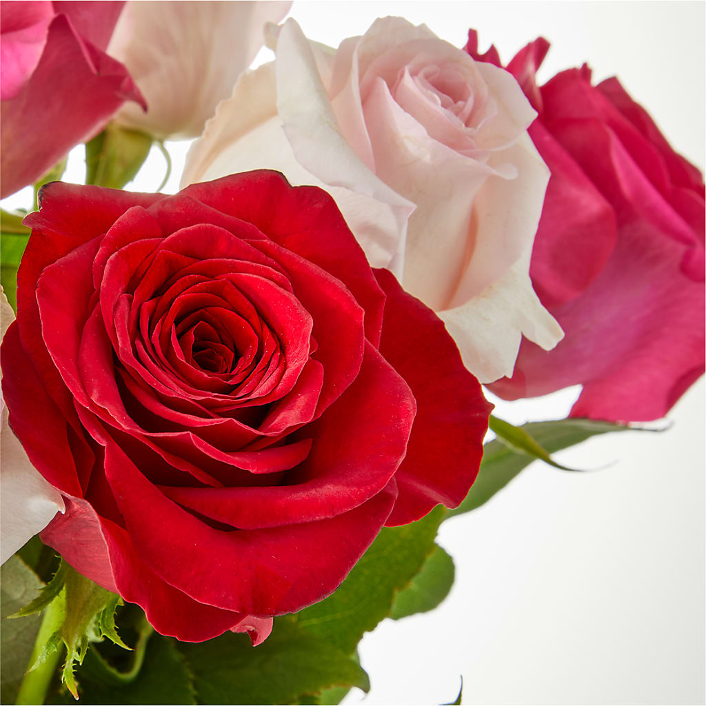 Charming Rose Bouquet –  Joyce Florist Of Dallas Inc, Dallas TX