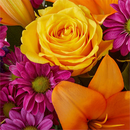 Colorful Visions Bouquet –  Joyce Florist Of Dallas Inc, Dallas TX
