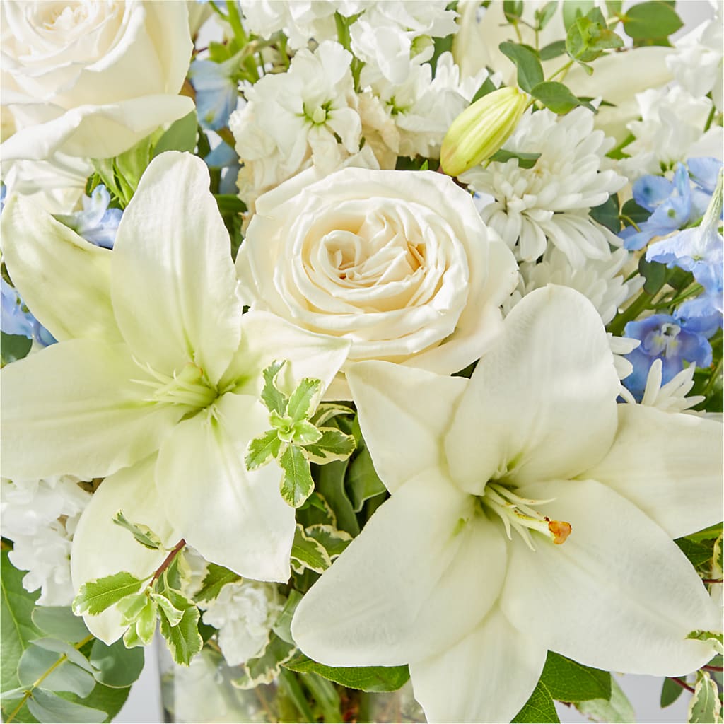 Peace of Mind Bouquet –  Joyce Florist Of Dallas Inc, Dallas TX