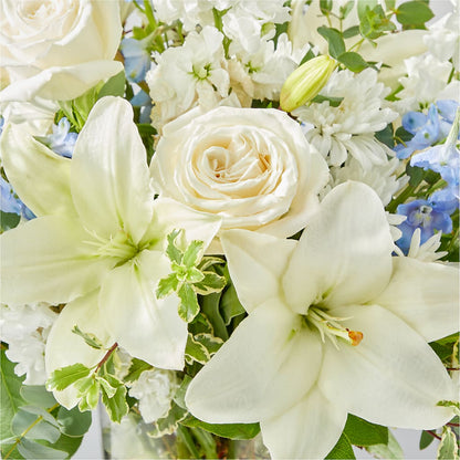 Peace of Mind Bouquet –  Joyce Florist Of Dallas Inc, Dallas TX