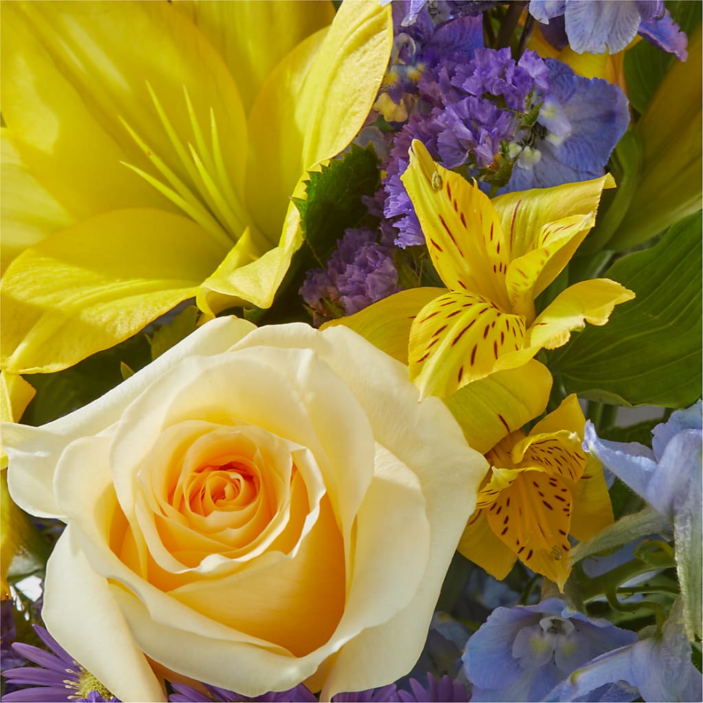 Limoncello Bouquet –  Joyce Florist Of Dallas Inc, Dallas TX