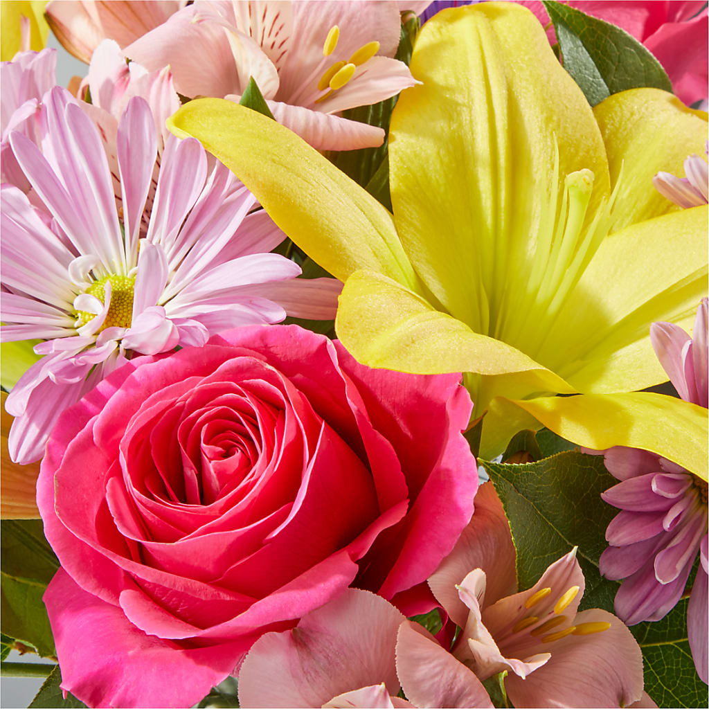 Sprinkles Bouquet –  Joyce Florist Of Dallas Inc, Dallas TX