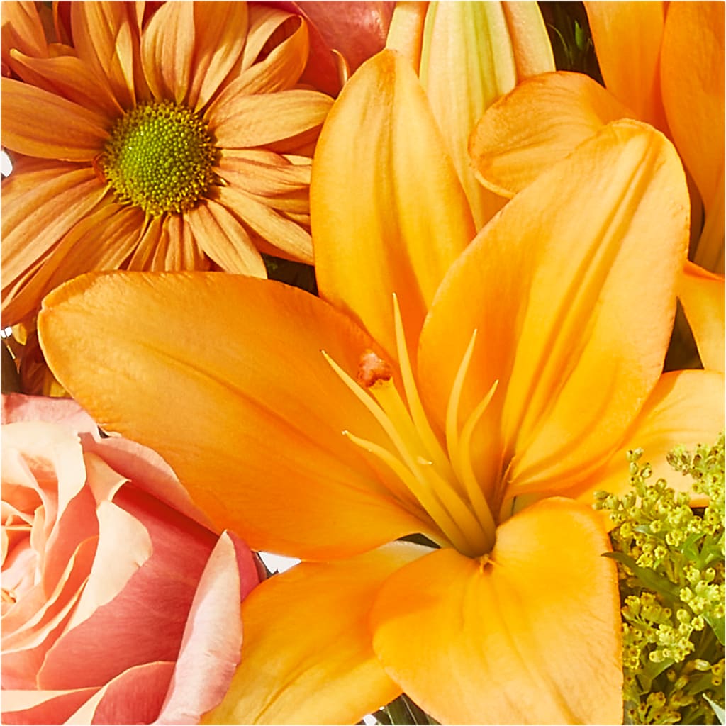 Harvest Hayride Bouquet –  Joyce Florist Of Dallas Inc, Dallas TX