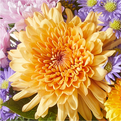 Countryside Bouquet –  Joyce Florist Of Dallas Inc, Dallas TX