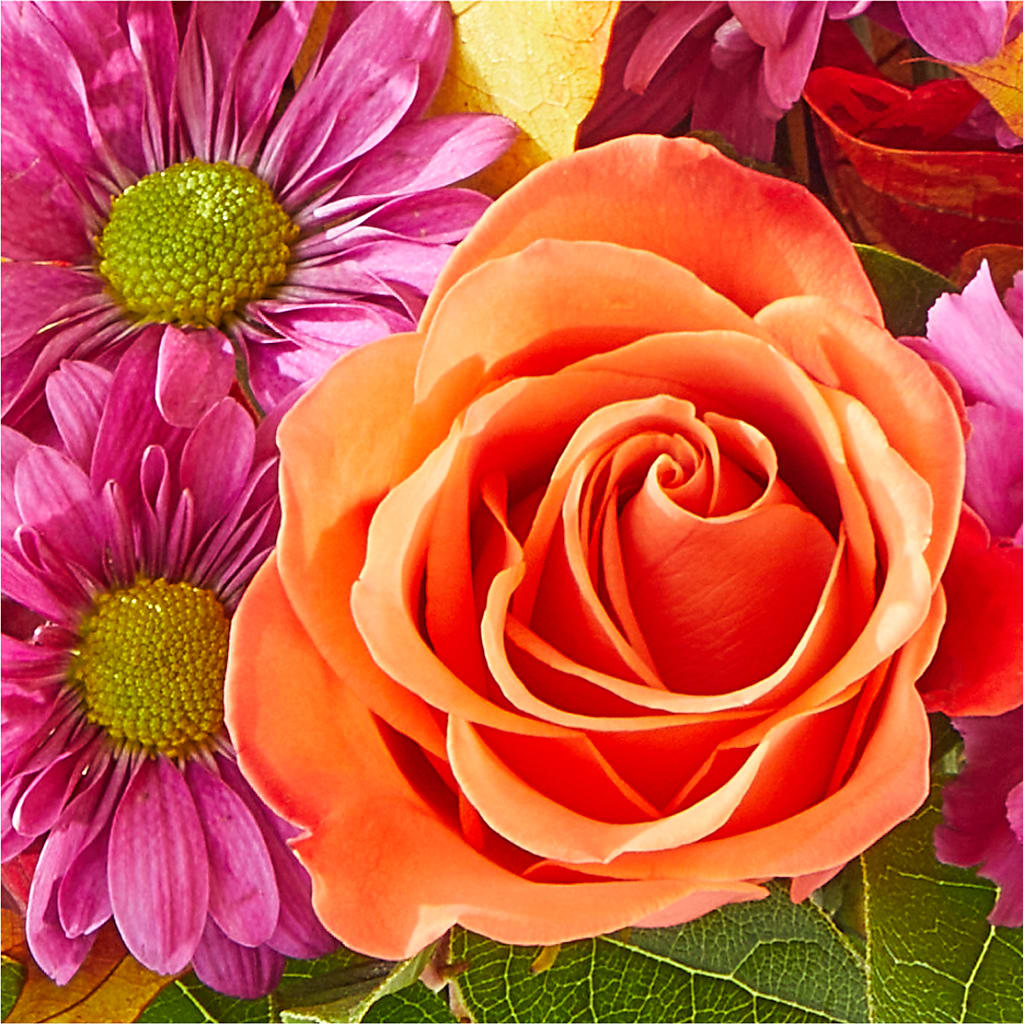 Mum's the Word Bouquet –  Joyce Florist Of Dallas Inc, Dallas TX