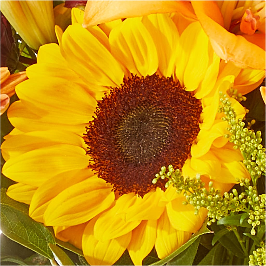 Seasons Change Bouquet –  Joyce Florist Of Dallas Inc, Dallas TX