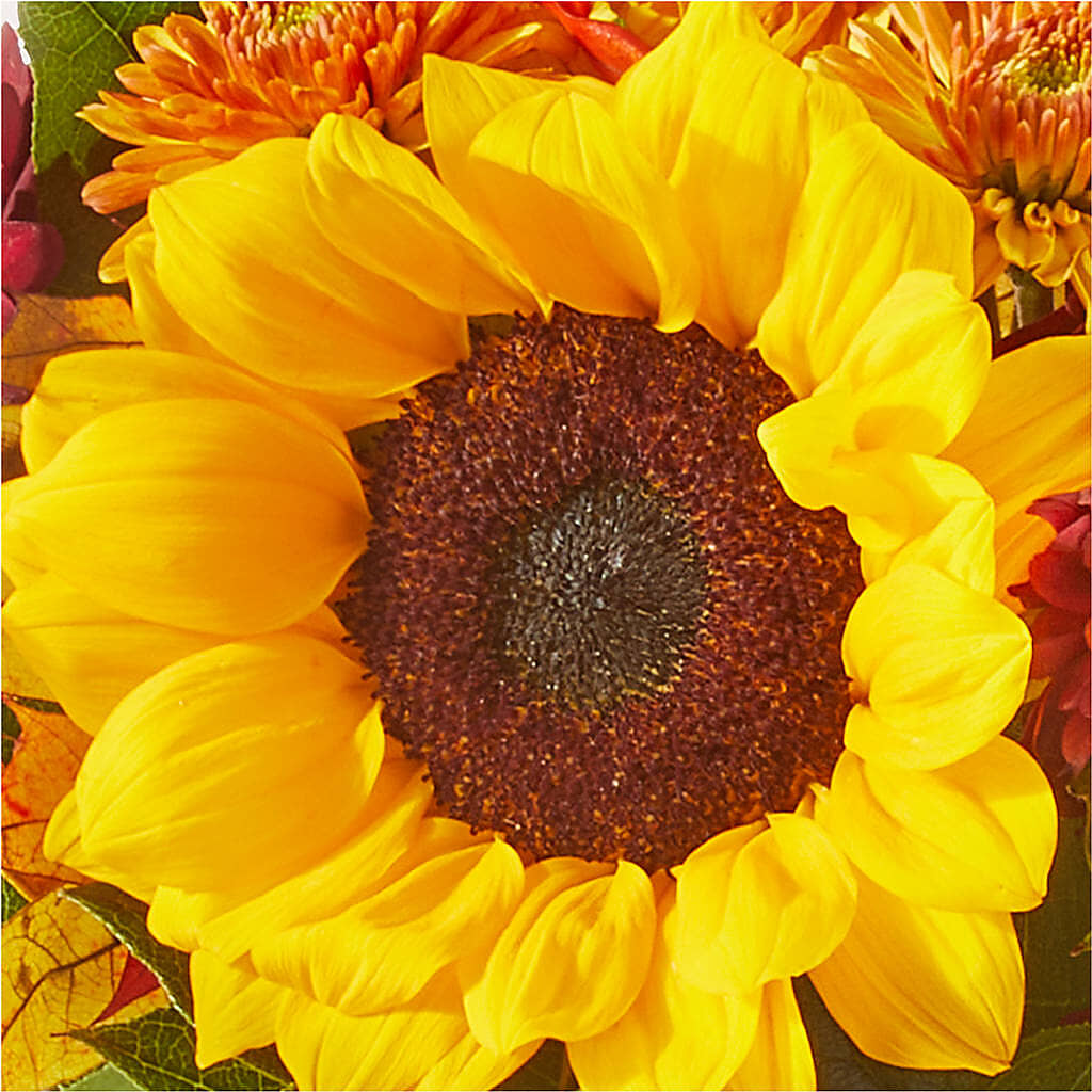Sunny Side Bouquet –  Joyce Florist Of Dallas Inc, Dallas TX