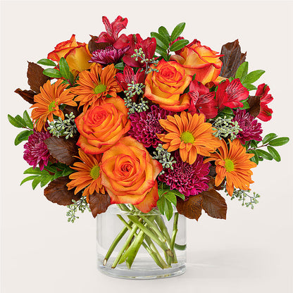 Brisk Morning Bouquet –  Joyce Florist Of Dallas Inc, Dallas TX