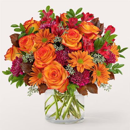 Brisk Morning Bouquet –  Joyce Florist Of Dallas Inc, Dallas TX