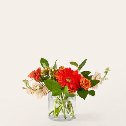 Paloma Please Bouquet –  Joyce Florist Of Dallas Inc, Dallas TX