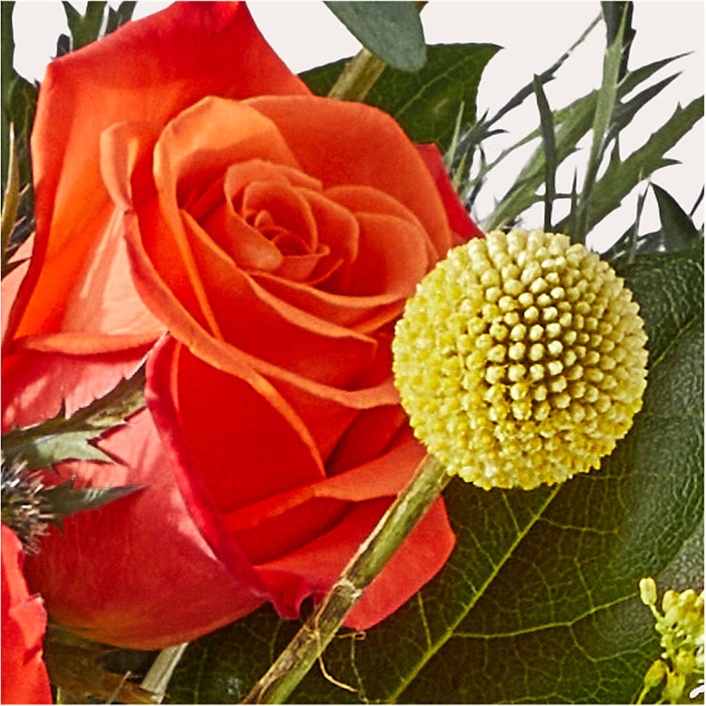 Disco Bouquet –  Joyce Florist Of Dallas Inc, Dallas TX
