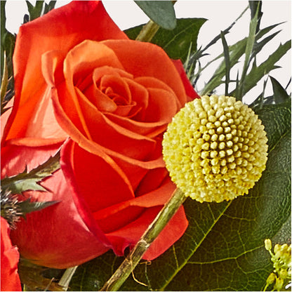 Disco Bouquet –  Joyce Florist Of Dallas Inc, Dallas TX