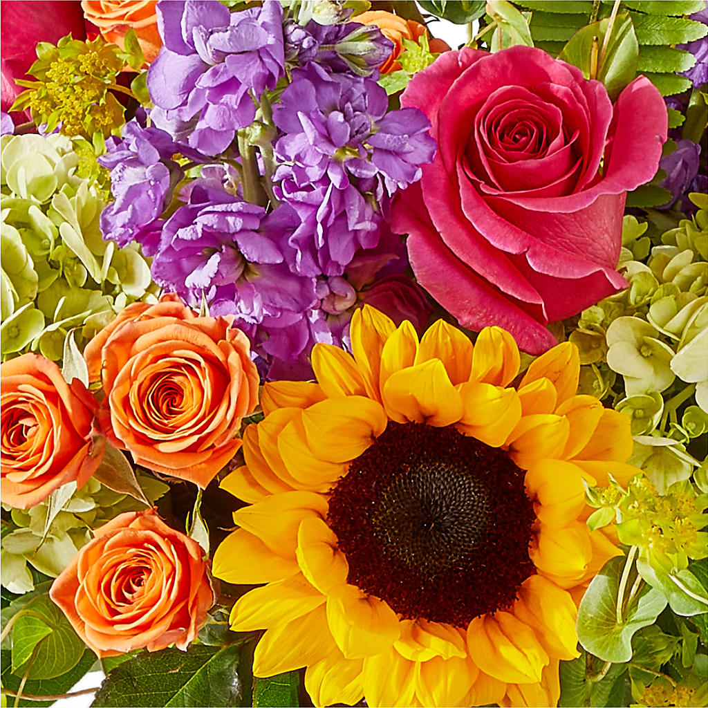 Vibrant Greetings Bouquet –  Joyce Florist Of Dallas Inc, Dallas TX